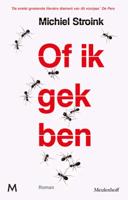 Of ik gek ben - Michiel Stroink - ebook - thumbnail