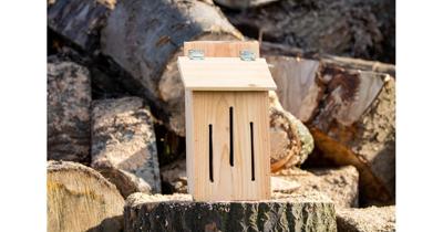 Insectenhotel de Nachtvlinder 20x20x45 cm Boomstijl - Boomstijl