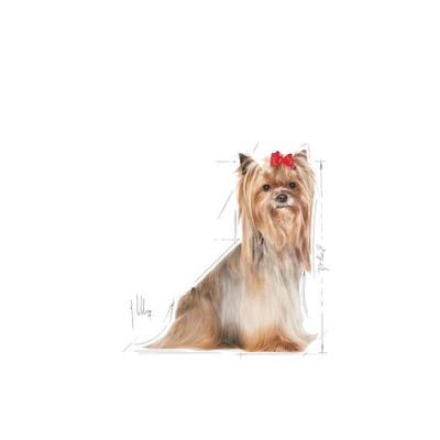 ROYAL CANIN Yorkshire Terrier 8+ Droog hondenvoer Gevogelte 1,5 kg