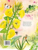 Lekker alleen! - thumbnail