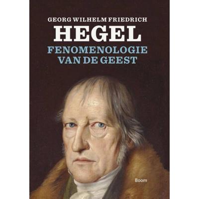 Fenomenologie van de geest (Paperback)