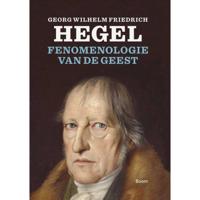 Fenomenologie van de geest (Paperback) - thumbnail