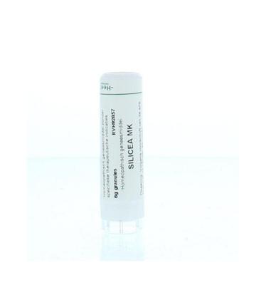Homeoden Heel Silicea MK 6 Gram Homeoden Heel Silicea MK 6 Gram