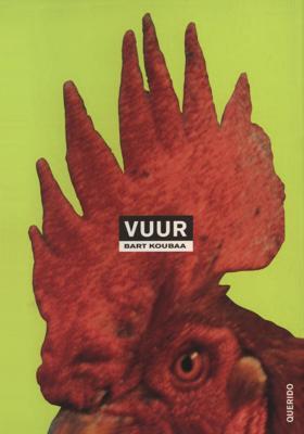 Vuur - Bart Koubaa - ebook