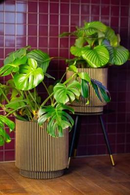 Capi nature groove nl cilinder bloempot 44x46 cm zwart, goud - thumbnail