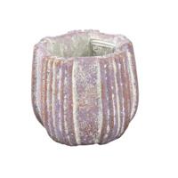 PTMD bloempot valerio xs paars 9 cm | 24 stuks - thumbnail