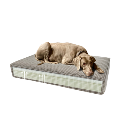 Madison Orthopedisch kussen 45 x 55 taupe