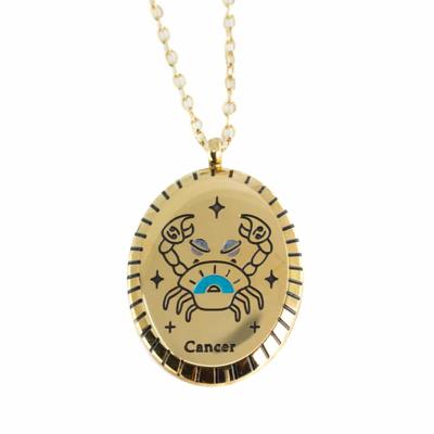 Stalen Horoscoop Hanger Kreeft Goudkleurig Ovaal (20 mm)