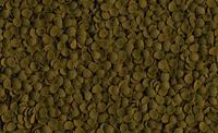 Pleco Veggie Wafers 100 ml Vis Gebr. de Boon Tetra - Tetra - thumbnail