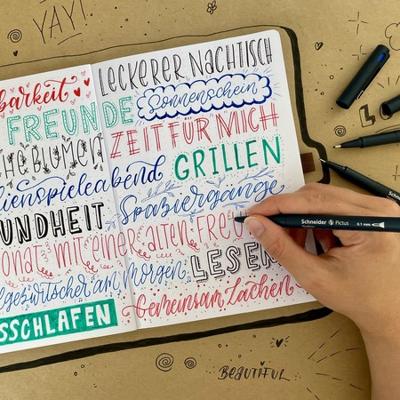 Schneider fineliner Pictus, etui van 5 stuks, assorti