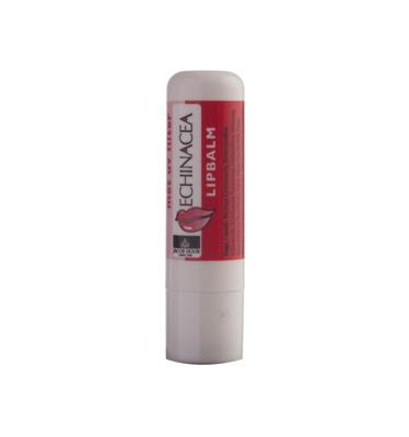 Jacob Hooy Lippenbalsem Echinacea