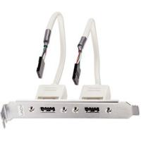 Lindy USB-adapter / 2 x 5 IDC, 0.20m - thumbnail