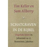 Tim  Keller Schatgraven in de Bijbel - thumbnail