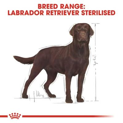 Royal Canin Labrador Retriever Sterilised Adult hondenvoer 12kg - thumbnail