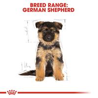 Royal Canin Puppy German Shepherd hondenvoer 2 x 12 kg - thumbnail