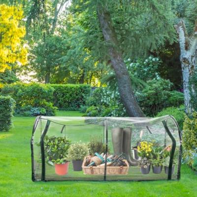 Kweekkas 130x60x50cm Kweekkas 130x60x50cm