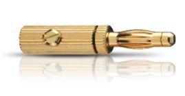 Oehlbach 3009 Luidsprekerconnector Stekker, recht Aantal polen: 1 Goud 4 stuk(s) Oehlbach 3009 Luidsprekerconnector Stekker, recht Aantal polen: 1 Goud 4 stuk(s)