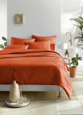 De Witte Lietaer De Witte Lietaer dekbedovertrek Olivia Rooibos 200x200/220