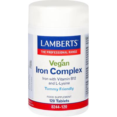 Lamberts IJzer complex vegan (120 tab)