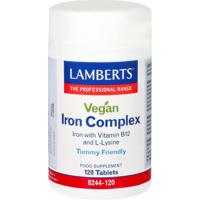 Lamberts IJzer complex vegan (120 tab) - thumbnail