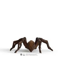 Schleich Harry Potter - Aragog speelfiguur - thumbnail