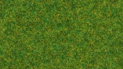 NOCH 08314 Strooigras Siergazons Siergras - thumbnail