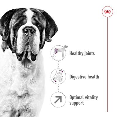 Royal Canin Giant Adult hondenvoer 4 kg - thumbnail