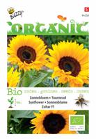 Biologische Helianthus, Zonnebloem Zohar F1 - thumbnail