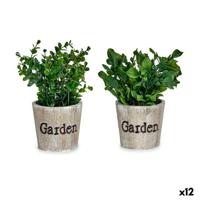 Decoratieve plant Plastic 16 x 22 x 16 cm (12 Stuks) - thumbnail