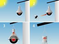 Dazen/wespen val TaonX Mini 100m2 - thumbnail