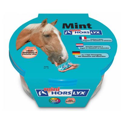 Horslyx Mini Mint
