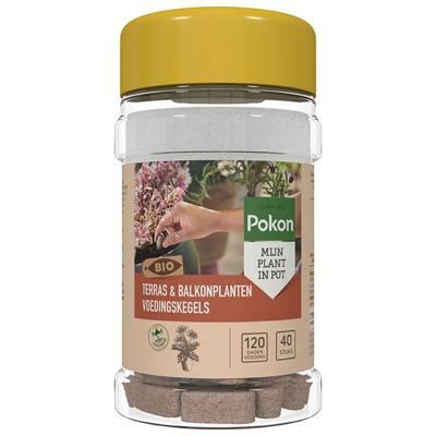 Pokon Bio Terras en Balkon Planten Voedingskegels 40st