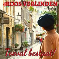 Toeval bestaat! - thumbnail