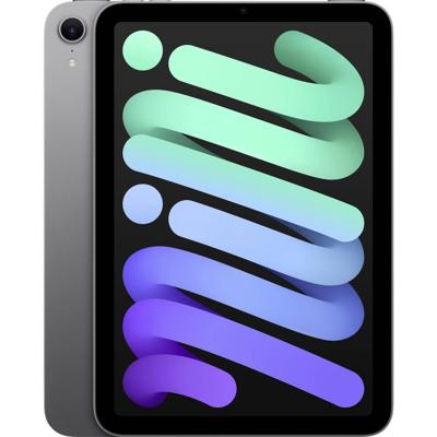 Apple iPad mini (A17 Pro): 8,3 inch Liquid Retina-display, 256 GB, wifi 6E, 12 MP camera aan de voorkant/12 MP camera aan de achterkant, Touch ID, batterij voor een hele dag – Spacegrijs