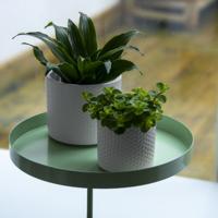 Esschert Design plantenblad met klem rond l groen - thumbnail