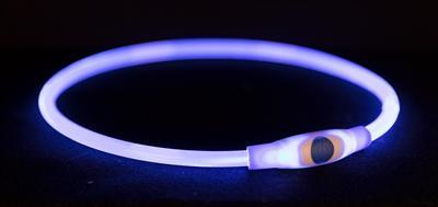 Flash lichthalsband 65 cm blauw voor de hond 2 stuks