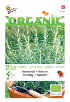 Zaden Organic Rozemarijn (BIO) Buzzy - Buzzy - thumbnail