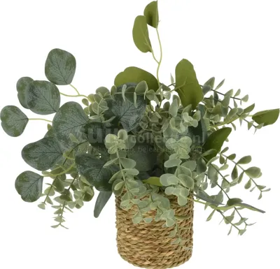 Kunstplant Eucalyptus in Mandje 30cm