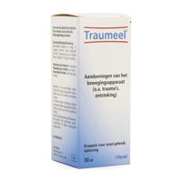 Traumeel S 30 Milliliter - thumbnail