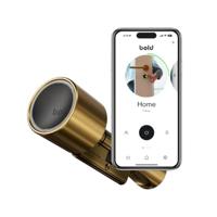 Bold Elite Smart Lock Cilinder SX33 Brass - thumbnail