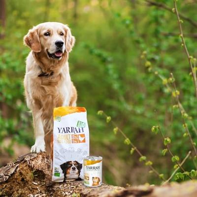YARRAH DOG BLIK PATE MET KIP 400 GR