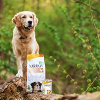 YARRAH DOG BLIK PATE MET KIP 400 GR - thumbnail