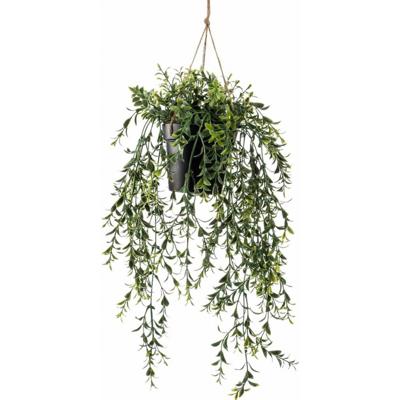 Zijdeplant Hangplant met pot Buxus kunstplant Driesprong Collection - Driesprong collection
