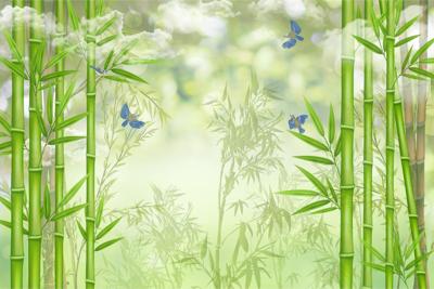 Fotobehang - Bamboe en vogels, Groen en blauw, in 11 maten te koop, inclusief behanglijm