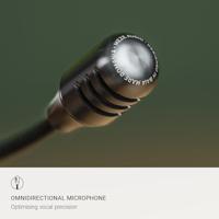 Meze Audio 99 Classic Headset + Boom Mic Walnoot Zilver - thumbnail