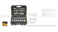 DeWalt DWMT19241-1 | GEREEDSCHAPSSET | METRISCHE DOPSLEUTELSET | 22 Delig - DWMT19241-1 - thumbnail