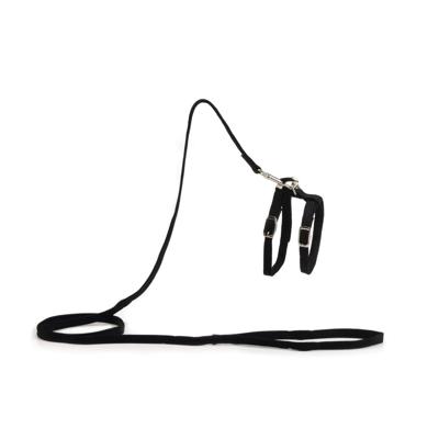 Beeztees - kattentuigje - nylon - zwart - 130 cm x 10 mm Beeztees - kattentuigje - nylon - zwart - 130 cm x 10 mm