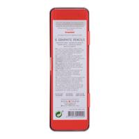 Grafietpotlood Bruynzeel Expression set à 6 hardheden grijs - thumbnail