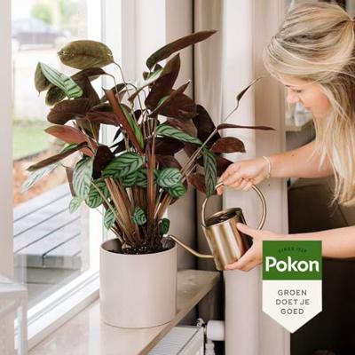 Pokon kamerplantenvoeding 500 ml
