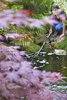 Hozelock Telescopische Draadalgborstel 60-110 cm - Comfort Vijveronderhoud - thumbnail